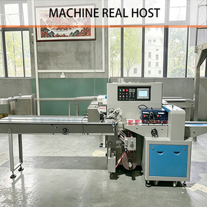 เครื่องบรรจุภัณฑ์แบบอัตโนมัติราคาโรงงาน เครื่องแพ็คแบบหมอนสำหรับบรรจุภัณฑ์<span class=keywords><strong>ชีส</strong></span><span class=keywords><strong>ก้อน</strong></span> - Product Image 4