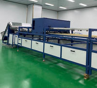Automatische slimme sorteer- en sorteermachine voor dadels, fruit en groenten met AI-visie intelligentie.