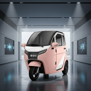 Vehículo Eléctrico de <span class=keywords><strong>Tres</strong></span> <span class=keywords><strong>Ruedas</strong></span>, 48V, con Sonido de Advertencia, Carrocería Cerrada, 2 Pasajeros, Capacidad de Carga de 400 kg, Motocicleta <span class=keywords><strong>para</strong></span> Personas con Discapacidad - Product Image 3