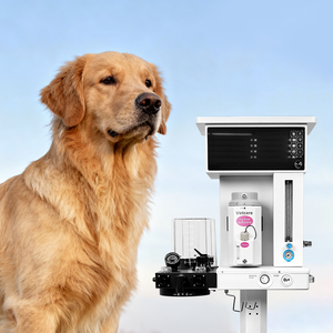 Tragbare Hundetier-Anästhesie geräte Medizinische Katze Veterinär instrument Vanesthesia-Maschine Komplett mit Patienten monitoren - Product Image 1