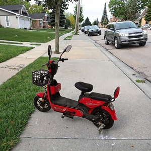 Venta Directa de Fábrica, Bicicleta Eléctrica Económica de 350W 48V con Motor Trasero Digital de Plomo-Ácido, Bicicleta Urbana de Dos Ruedas en Oferta - Product Image 1