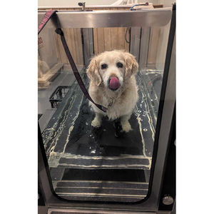 Tapis roulant sous-marin pour chien de haute qualité/MSL-C380 de tapis roulant pour chien - Product Image 3