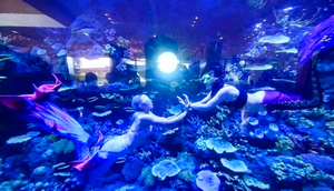 ของตกแต่งตู้<span class=keywords><strong>ปลา</strong></span>ขนาดใหญ่ ปะการังเทียมเรซิ่นหลากสีสัน สำหรับตู้ปลา มีจำหน่าย - Product Image 6