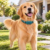 Collier GPS Qcool pour chiens, idéal pour les maisons d'accueil pour animaux, étanche, compact, léger, ajustement confortable, multi-scènes, sûr