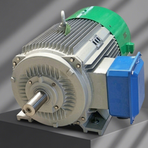 Générateur à aimants triphasé AC de 24 KW 750 tr/min pour projet hydroélectrique fluvial - Product Image 2