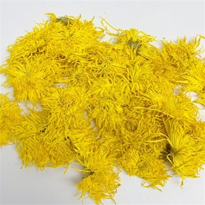 Té de crisantemo dorado seco Natural puro Sabor original Té de flores Beneficios para la salud Precio al por mayor Dendranthema <span class=keywords><strong>Morifolium</strong></span> - Product Image 4