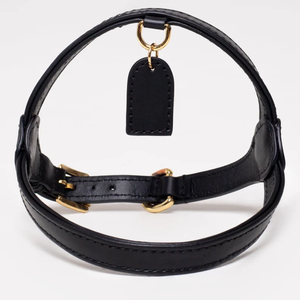 Arnés de cuero clásico para perros con hebilla dorada Etiqueta de nombre Fuerte tensión Fácil de usar para perros grandes, medianos y pequeños - Product Image 3