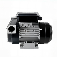 Pompe de transfert de carburant pour moteur diesel basse pression ACTP80, pompe à engrenages, accouplement à serrage, matériau en fer, personnalisable OEM, 550W 110V/220V