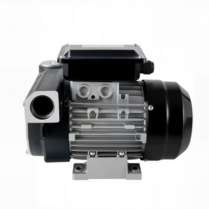 ACTP80 低压柴油机燃油输送泵 铁质材质 OEM 可定制 550W 110V/220V - Product Image 2
