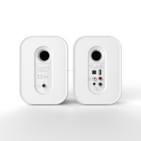 Altavoz de Escritorio de 50W RMS, Diseño Elegante y Compacto, con Iluminación LED RGB USB 5.3, AUX, para Cine en Casa, Computadora y Portátil