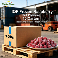Premium IQF Diepvries Frambozen Hele Bessen BRC Gecertificeerd Bulkverpakking 10kg voor de Drank- en Bakkerijindustrie