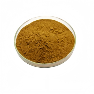 <span class=keywords><strong>Extrait</strong></span> de racine <span class=keywords><strong>d</strong></span>'<span class=keywords><strong>ortie</strong></span> de qualité supérieure directement de l'usine, poudre <span class=keywords><strong>d</strong></span>'<span class=keywords><strong>extrait</strong></span> <span class=keywords><strong>d</strong></span>'<span class=keywords><strong>ortie</strong></span> - Product Image 1