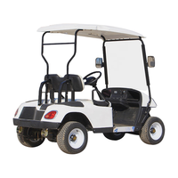 Mini voiturette de golf électrique simple 48V, buggy club 2 places directement vendu par le fabricant de Chine