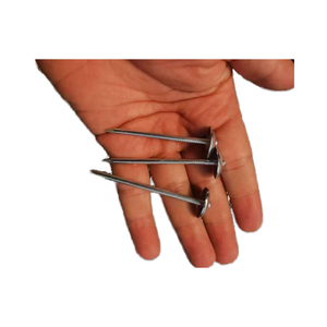 Alta Qualidade Eletro Galvanizado Cabeça Guarda-chuva De Zinco Ondulado Telhado Prego Tampão Redondo Pregos De Telhado - Product Image 2