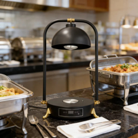 Lampe chauffante électrique de comptoir en acier inoxydable pour aliments, avec plaque chauffante et éclairage, pour présentation de buffet lors de fêtes