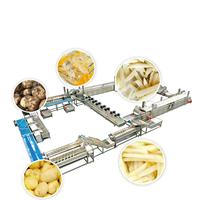 IQF Elektrische 100-3000kg/uur Hoge-Capaciteit Diepvries Frites Productielijn Machine