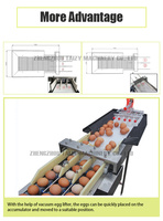 Niveleuse d'oeufs de volaille Offre Spéciale poulet équipement de volaille trieuse automatique d'œufs de poids