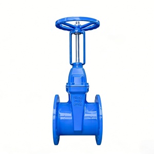Válvula de Compuerta Gaobei Z41X 16Q de Hierro Dúctil con Vástago Ascendente y Asiento Elástico DN50-DN600 para Agua Contra Incendios - Product Image 5