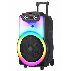 NDR 12 inch DJ Karaoke Bass RGB ánh sáng không Dây BT Mic USB Xe đẩy bluetooths Loa di động với microphone