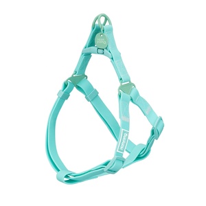 Correa de PVC para Collar de perro, resistente al agua, para caminar, entrenamiento, logotipo personalizado, Color de lujo, a la moda - Product Image 6