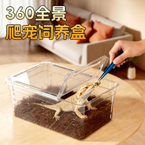 Caja de Alimentación para Reptiles de Plástico Transparente de 19x12.5x8cm con Tapa para Lagartos, Geckos, Serpientes, Insectos y Mascotas Pequeñas - Product Image 1
