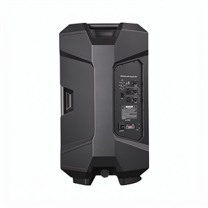 Haut-parleur actif large de 15 pouces en plastique avec amplificateur de classe D et DSP, idéal pour l'extérieur - Product Image 4
