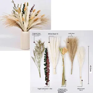 Fleurs séchées artisanales transfrontalières, décoration bohème en pampas, roseau DIY, herbe à queue de lapin, feuilles d'eucalyptus mélangées non teintes - Product Image 6
