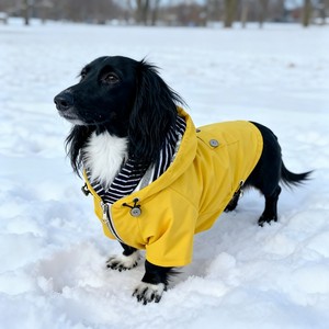 Luxury Winter All-Weather <strong>Dog</strong> Jacket Waterproof Puffer Pet <strong>Coat</strong> for Bassotto Wiener Dachshund Hamburg Teckel <strong>Sausage</strong> Polyester - Product Image 3