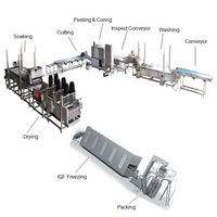 Industriële Bevroren Fruit Maken Machine Verwerkingslijn Vers Fruit Wassen Peeling Coring Snijden Snijden Iqf Vriesmachine