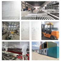 SANPUREN Maison Conteneur Préfabriquée pour Chantier, Dortoir, Bureau Mobile, Facilement Déplaçable, Norme UE