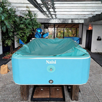Großhandel Naisi Aufblasbarer PVC-Swimmingpool UV-Beständig Wasserdicht Verstärkt Auslaufsicher 1 Jahr Garantie für Kinder und Erwachsene