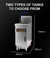 Freidora Eléctrica Comercial de un Solo Tanque para Pollo Frito y Papas Fritas con Control Programable y Elevación Automática