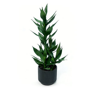 Bambú Artificial de Aspecto Natural, Bambú de Alta Simulación con Maceta de Cerámica, Bambú Artificial para Decoración Interior y Exterior - Product Image 6