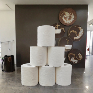 Vente directe d'usine de rouleaux de <span class=keywords><strong>papier</strong></span> toilette et de serviettes de toilette de haute qualité. Les acheteurs peuvent choisir parmi une variété. - Product Image 5