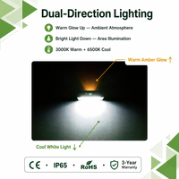 Lampe murale extérieure à énergie solaire, étanche IP65, éclairage LED haut/bas pour jardin, clôture, patio, cour, décoration murale extérieure