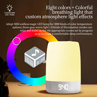 Lampe d'ambiance respiratoire de dormeur de bruit blanc avec musique lampe de photographie de veilleuse de synchronisation intelligente