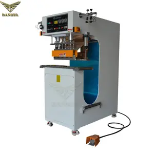 6KW High Frequency Thermoplastic Fabric Welding and Seaming Machine for Biogas Bag and Stent Pool Production