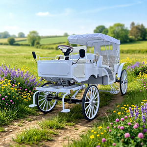Voiture électrique de tourisme de style classique vintage, chariot royal blanc, véhicule de tourisme personnalisé de style européen à vendre - Product Image 1
