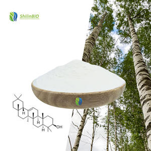 Poudre de Betuline de Haute Qualité SLBIO 98% CAS 473-98-3 Extrait de Cendres de Bouleau en Poudre - Product Image 2