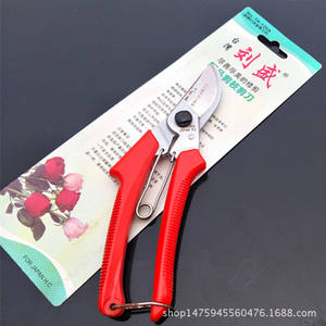 Cisailles de taille Liu Sheng 120 mm en acier inoxydable avec poignée antidérapante pour arbres fruitiers et jardins - Product Image 1