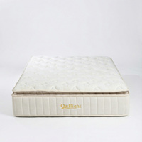 Matelas Orthopédique King Size Double Euro Top en Mousse à Mémoire de Forme 30cm avec Ressorts Ensachés, Design Moderne Rafraîchissant, pour Mobilier de Maison et Lit d'Hôpital