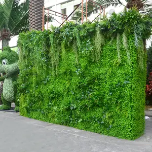 Sistema verde della parete verde della parete verde della parete del fiore