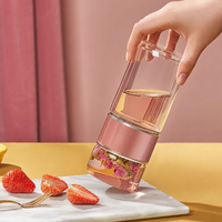 Bouteille Isotherme Transparente à Double Paroi en Verre avec Infuseur à Thé 500ml Portable Résistante à la Chaleur Anti-Fuite avec Bouchon à Vis pour l'Extérieur