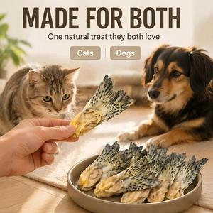 Golosinas para Perros de Cola de Salmón Liofilizada al por Mayor, Altas en Proteínas, Sin Granos, para Entrenamiento de Cachorros, Naturales y Sin Aditivos - Product Image 4
