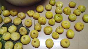 <span class=keywords><strong>Secadora</strong></span> <span class=keywords><strong>de</strong></span> <span class=keywords><strong>Bomba</strong></span> <span class=keywords><strong>de</strong></span> <span class=keywords><strong>Calor</strong></span> <span class=keywords><strong>de</strong></span> Ahorro Energético KINKAI JK03RD para Deshidratar Moras, Arándanos, Bayas, Higos y Albaricoques - Cuarto <span class=keywords><strong>de</strong></span> Secado por Aire Caliente - Product Image 2