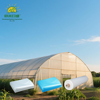 Film de serre en LDPE de 200 microns résistant aux UV, couverture en plastique agricole pour serres de jardin