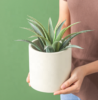 Meilleures ventes : Jardinières en porcelaine émaillée nordique colorées pour la décoration de jardin et de maison, avec trou de drainage, vente en gros