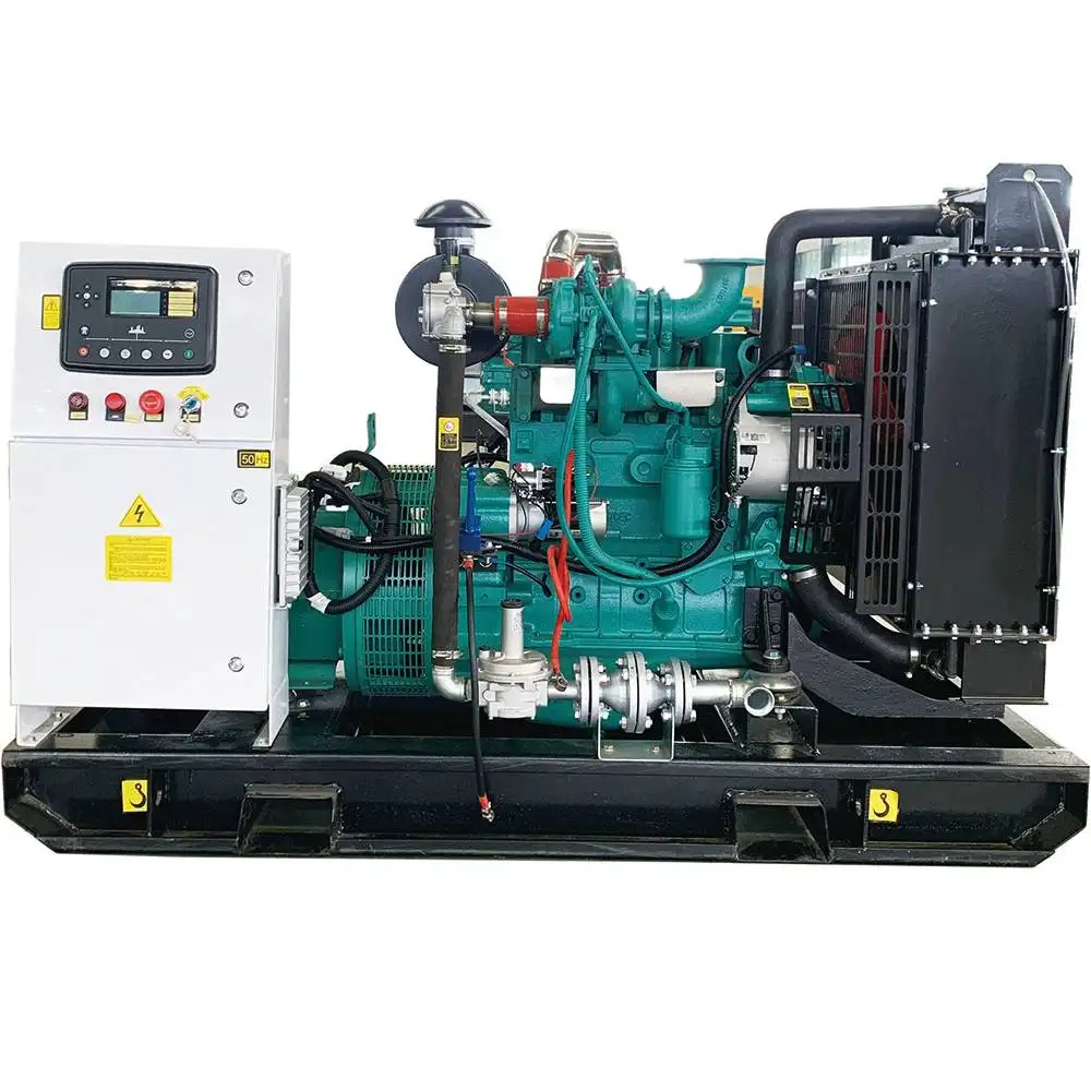 Single or 3 Phase Silent Dual Fuel Portable Generator Set Natural Gas Biogas LPG Petrol Gasoline Genset