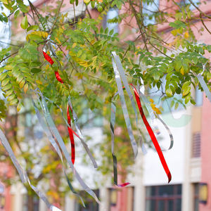 Holografik kuş korkutmak bant 2.5 cm X 100 <span class=keywords><strong>m</strong></span> çiftlik bahçe koruma için yansıtıcı kuş kovucu Warner şerit - Product Image 3