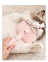 Peigne démêlant 3-en-1 double face pour éliminer les poils flottants et les nœuds pour le toilettage des chats et des chiens, brosse à poils pour animaux de compagnie